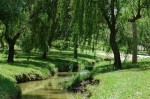 Craig Park