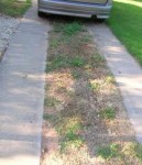 Old driveway