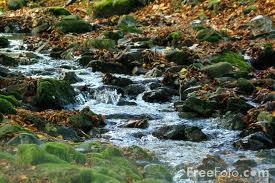 Mountain Stream