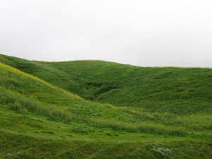 Green hills