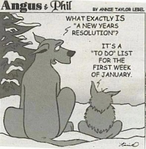 Dogs and resolutions