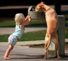 Drinking fountain